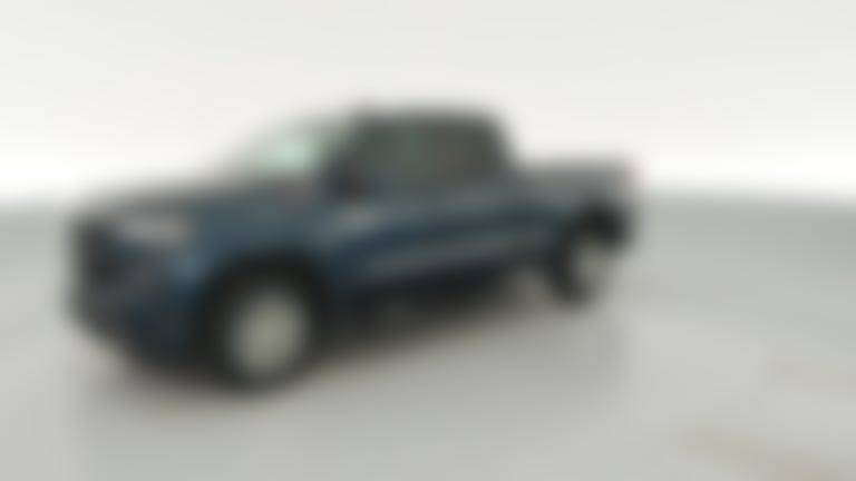 2020 Chevrolet Silverado 1500 Double Cab vehicle photo