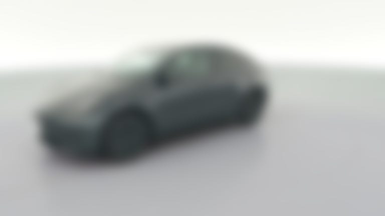 2024 Tesla Model Y vehicle photo