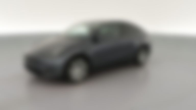 2023 Tesla Model Y vehicle photo