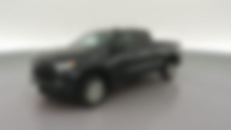 2023 Chevrolet Silverado 1500 Double Cab vehicle photo