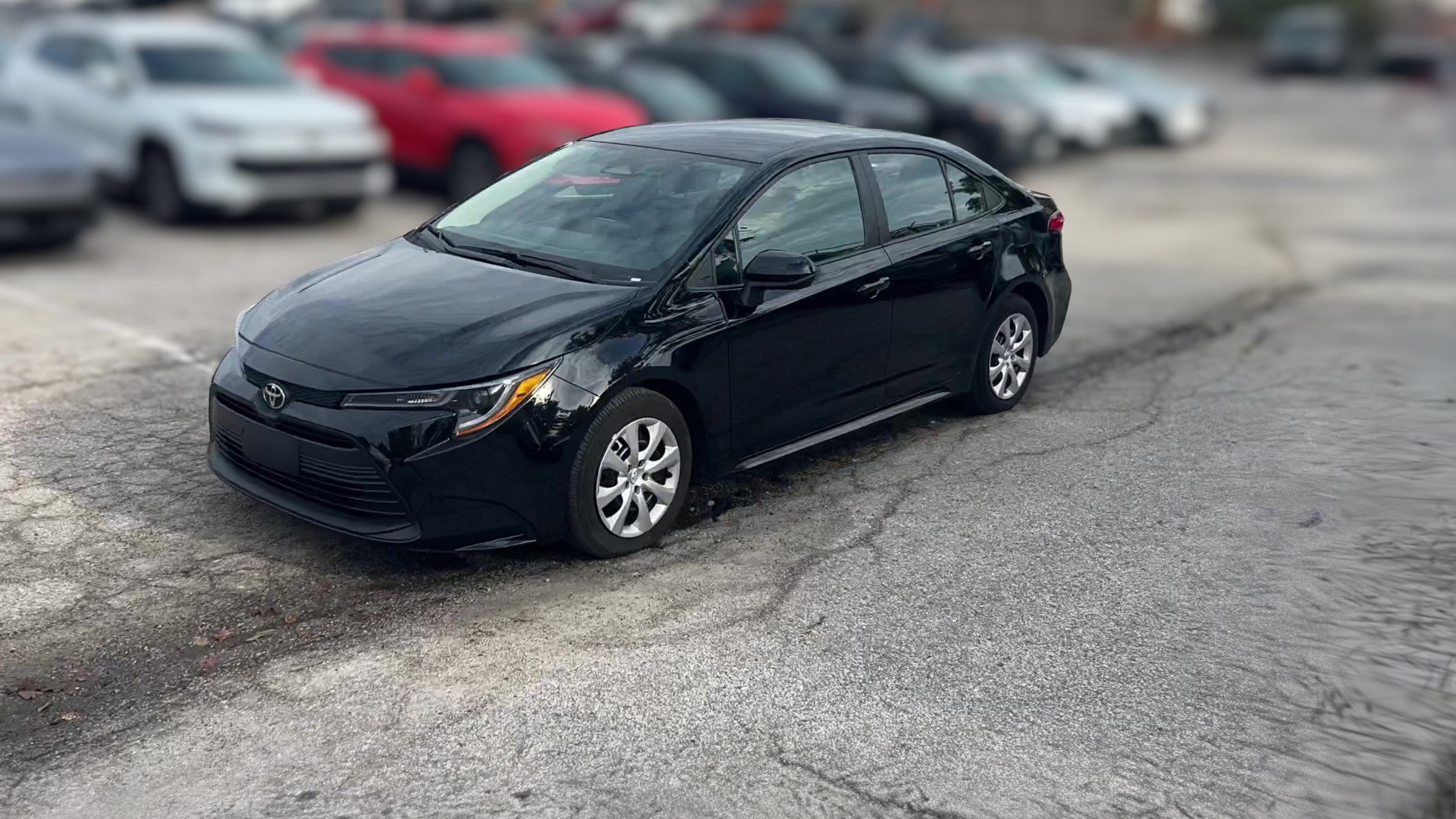 2025 Toyota Corolla vehicle photo