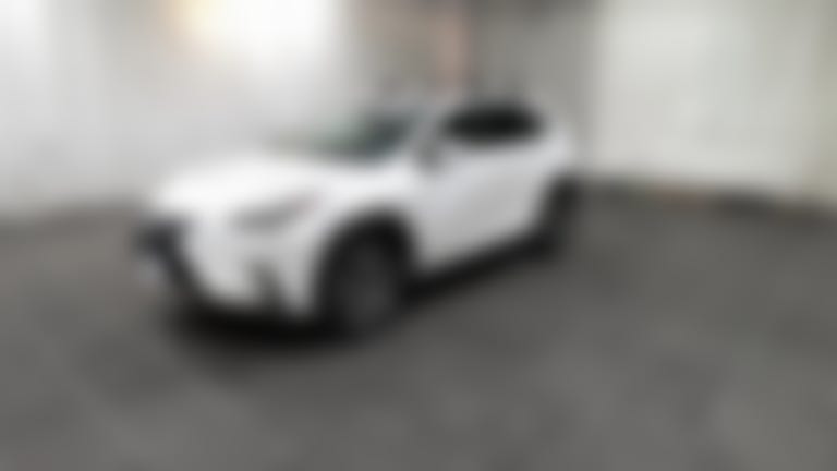 2020 Lexus NX vehicle photo