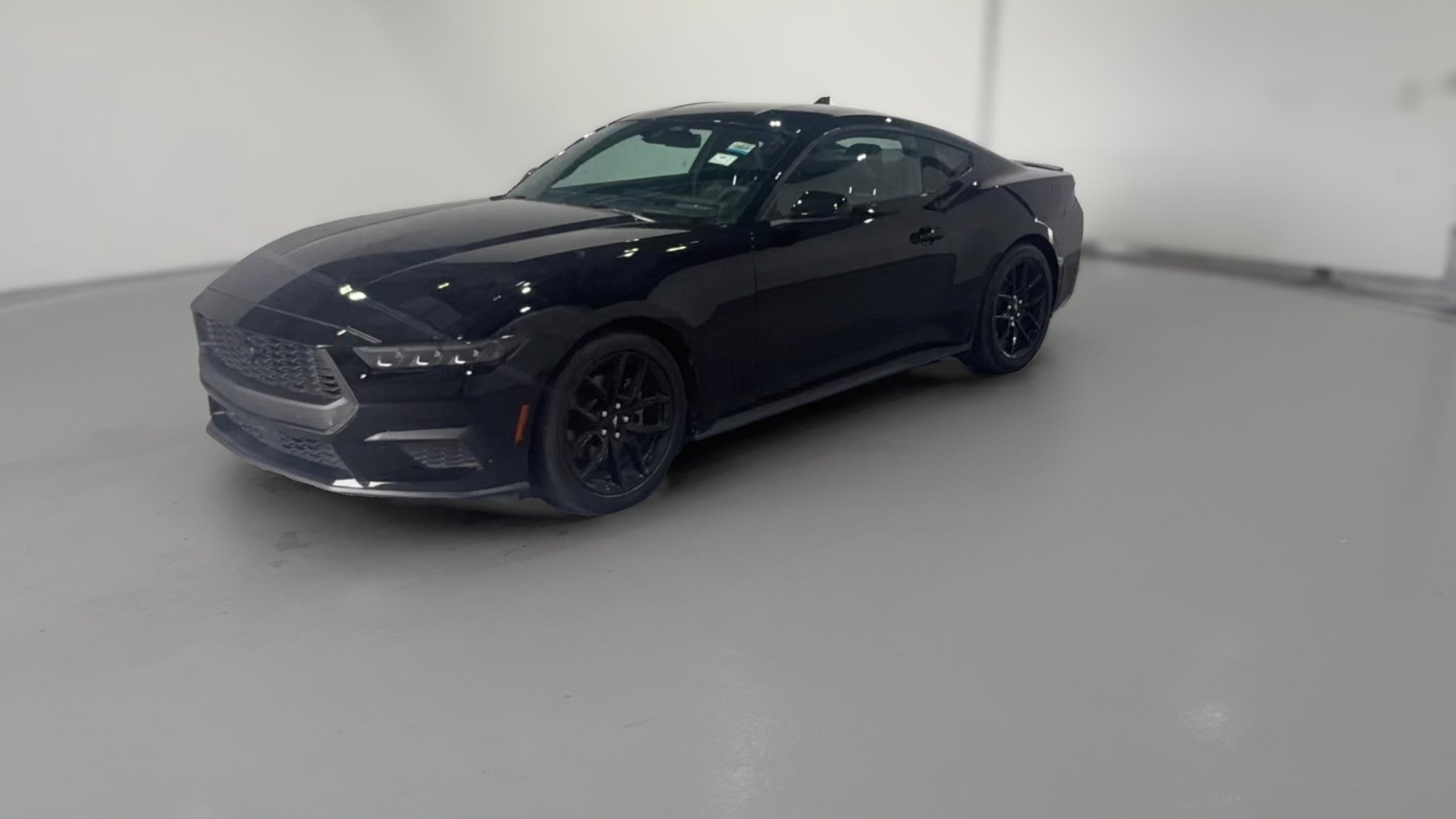 2024 Ford Mustang vehicle photo