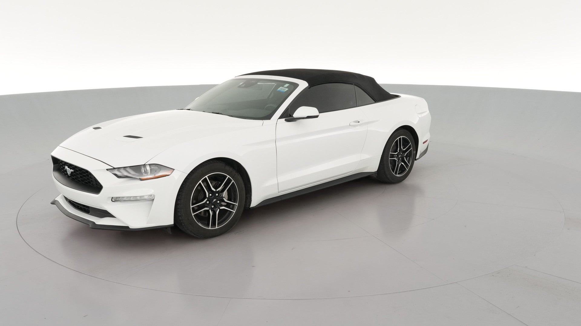 2022 Ford Mustang vehicle photo