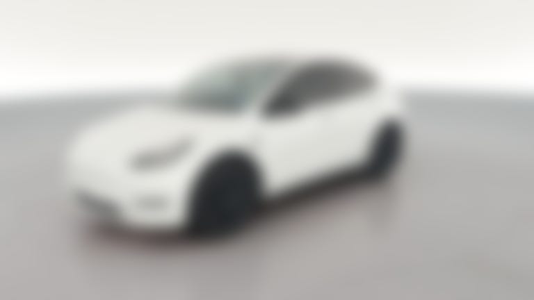 2021 Tesla Model Y vehicle photo