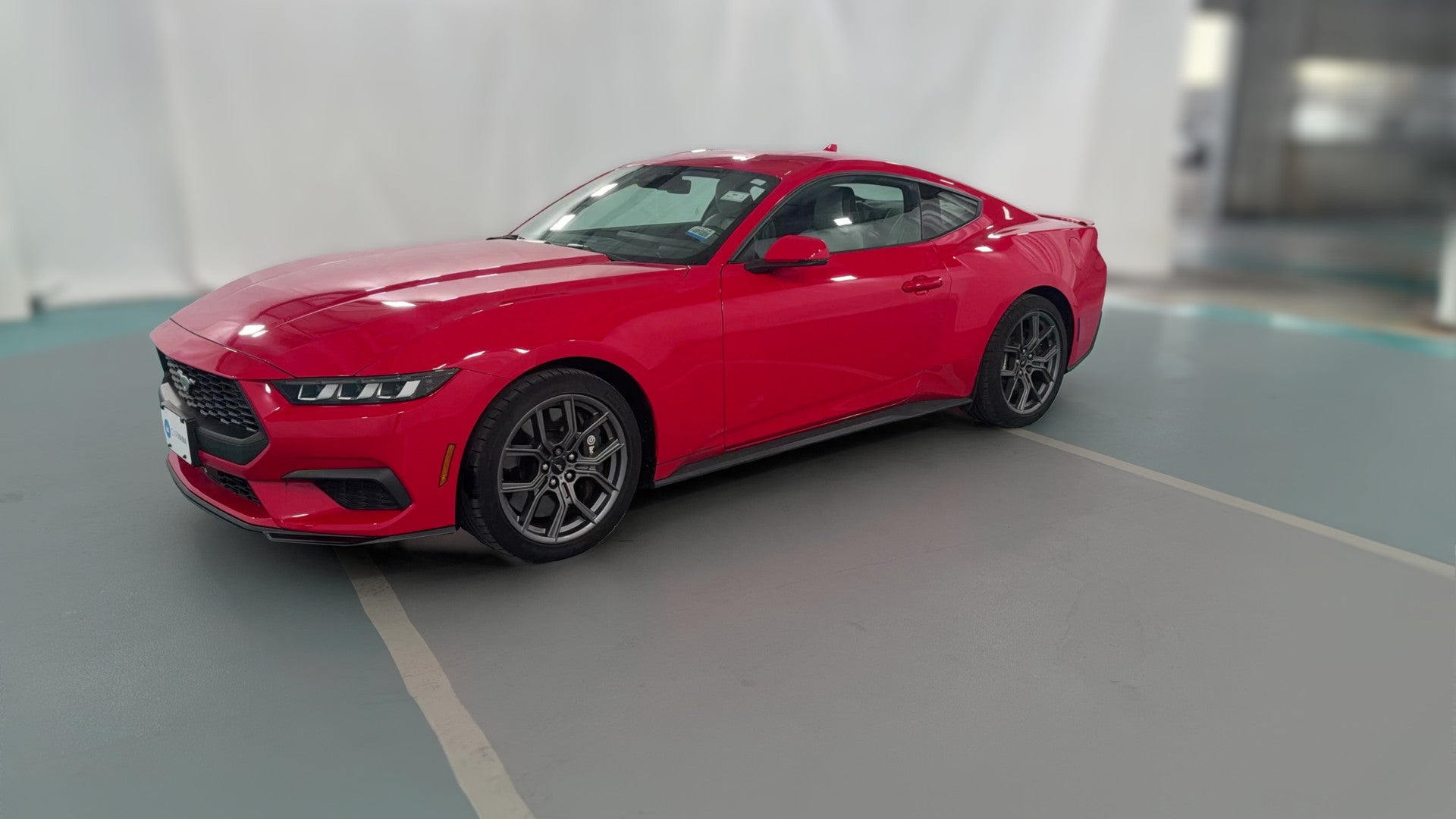 2024 Ford Mustang vehicle photo