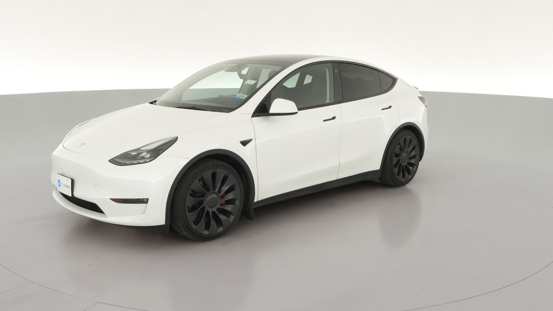 2023 Tesla Model Y vehicle photo