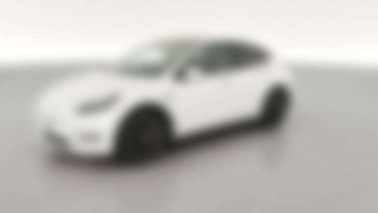 2023 Tesla Model Y vehicle photo