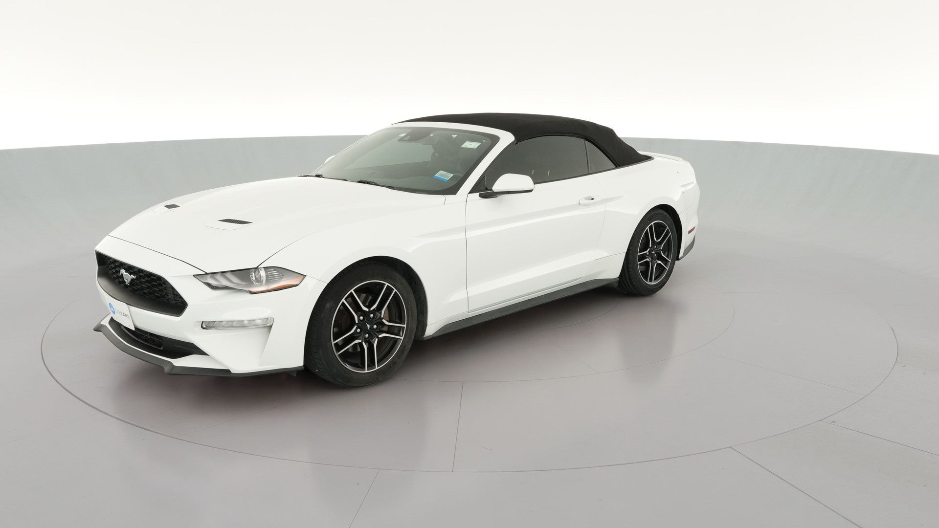 2022 Ford Mustang vehicle photo
