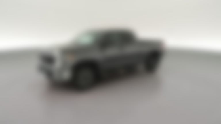 2019 Toyota Tundra Double Cab vehicle photo