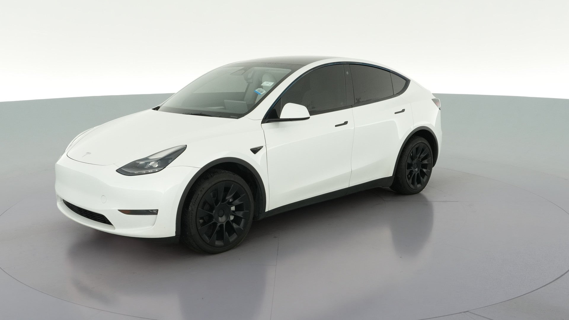 2023 Tesla Model Y vehicle photo