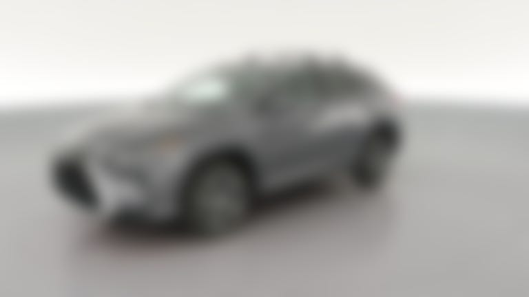 2017 Lexus RX vehicle photo
