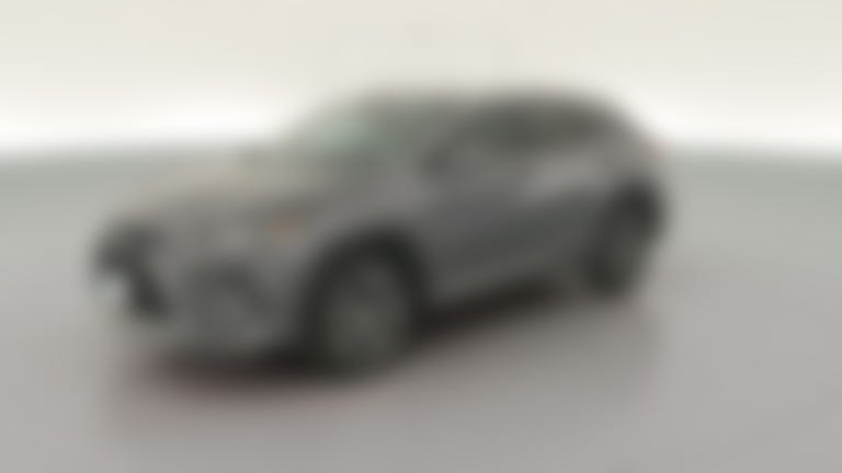 2022 Lexus RX vehicle photo