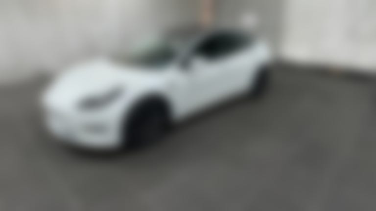2021 Tesla Model 3 vehicle photo