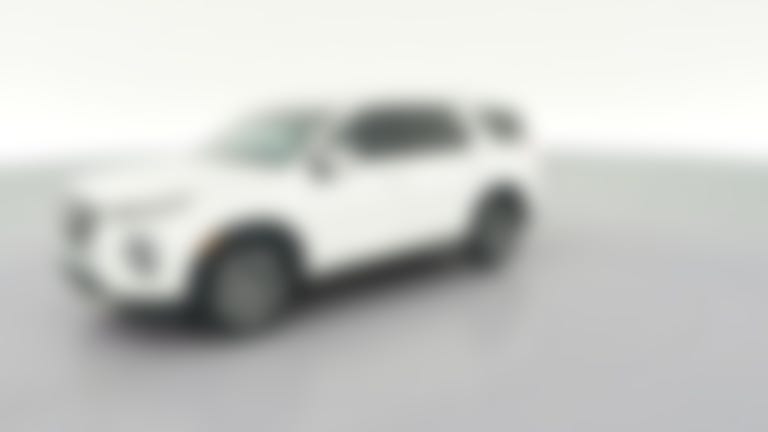 2020 Hyundai Palisade vehicle photo