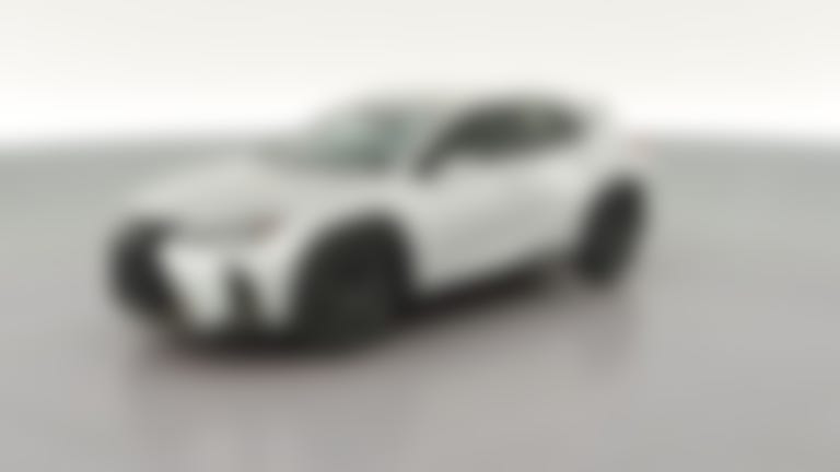 2019 Lexus UX vehicle photo