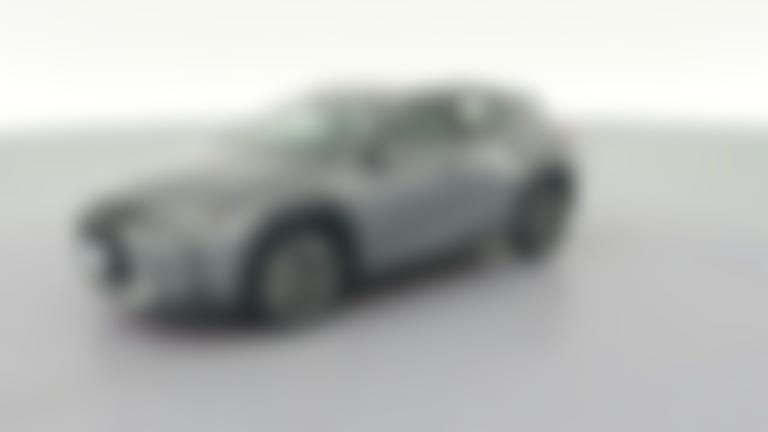2019 Lexus UX vehicle photo