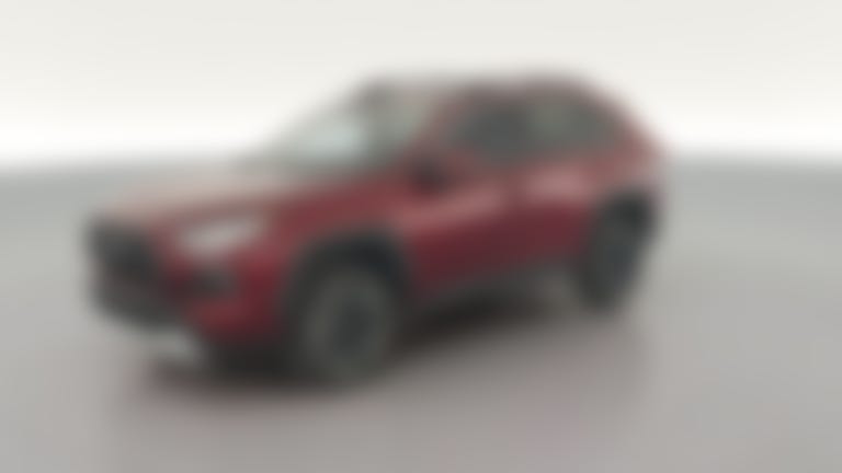 2019 Toyota RAV4 vehicle photo