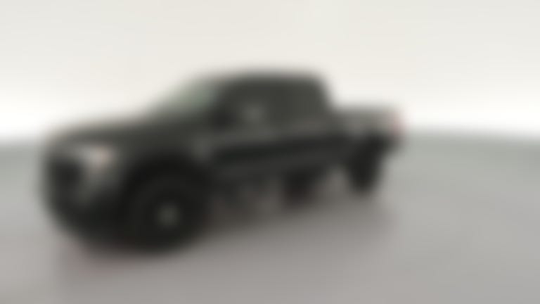 2021 Ford F250 Super Duty Crew Cab vehicle photo