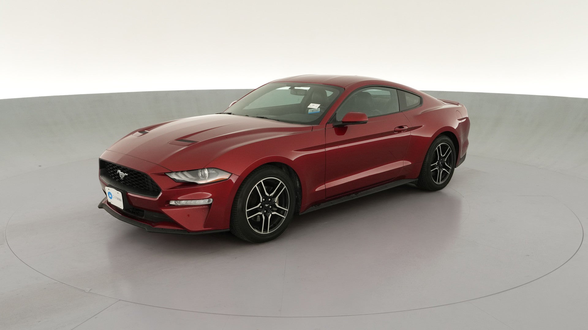 2019 Ford Mustang vehicle photo