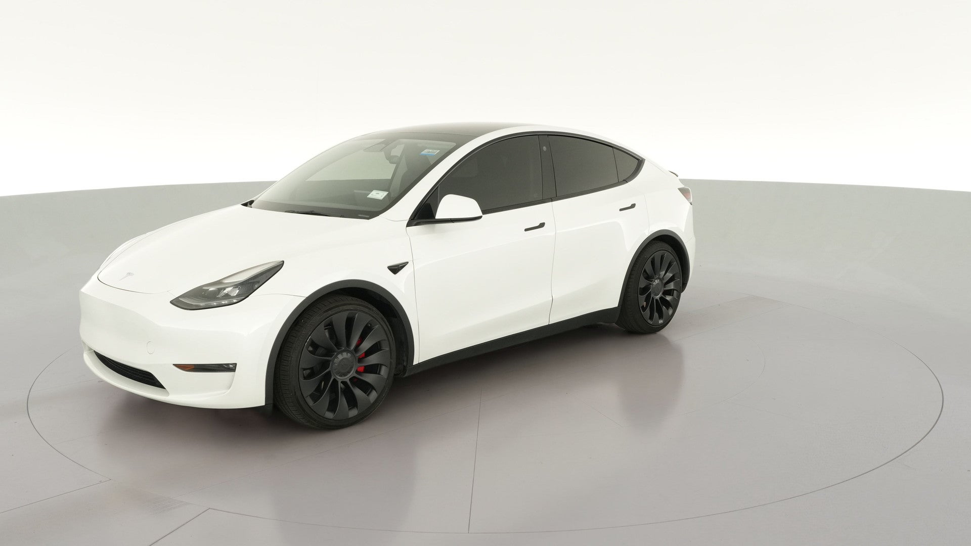 2023 Tesla Model Y vehicle photo