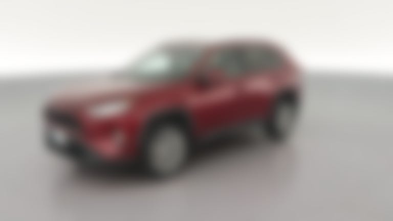 2019 Toyota RAV4 vehicle photo