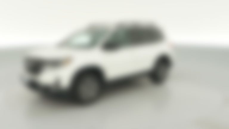 2022 Honda Passport vehicle photo