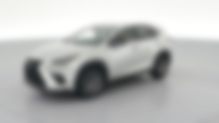 2019 Lexus NX vehicle photo