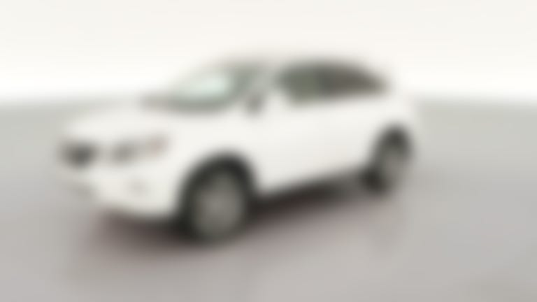 2014 Lexus RX vehicle photo