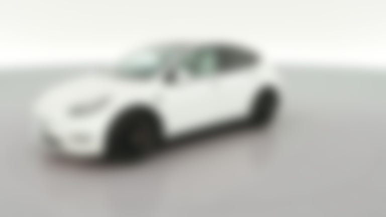 2020 Tesla Model Y vehicle photo