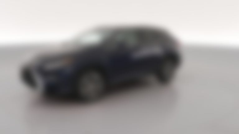 2019 Lexus RX vehicle photo