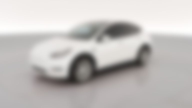 2023 Tesla Model Y vehicle photo