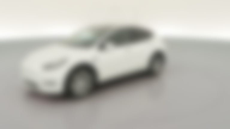 2023 Tesla Model Y vehicle photo