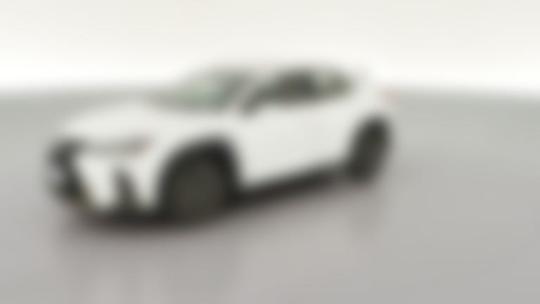 2020 Lexus UX vehicle photo
