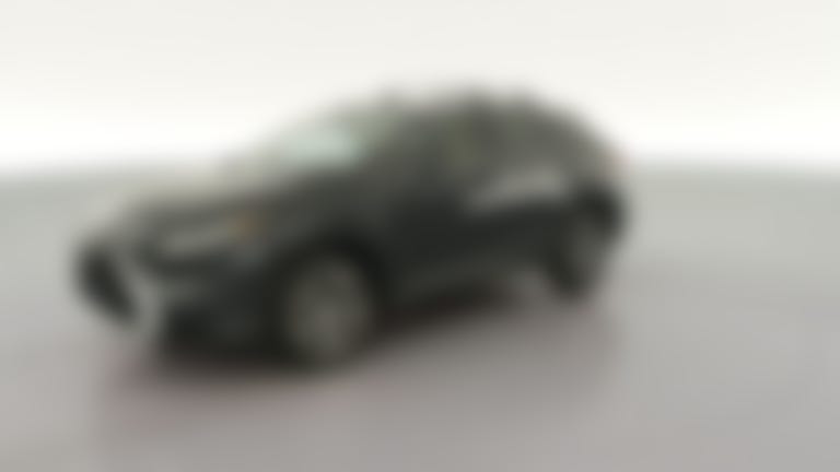 2019 Lexus RX vehicle photo