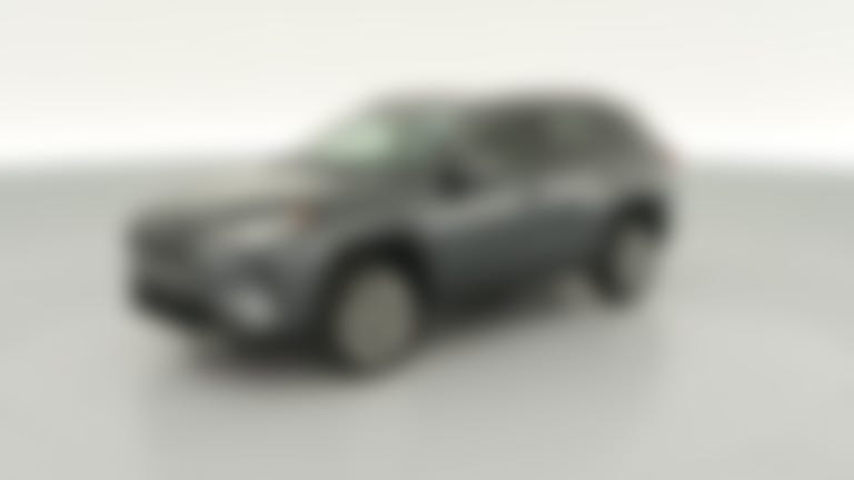 2019 Toyota RAV4 vehicle photo