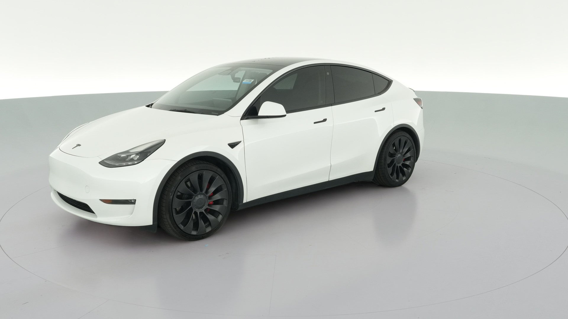 2023 Tesla Model Y vehicle photo