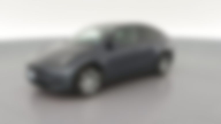 2023 Tesla Model Y vehicle photo