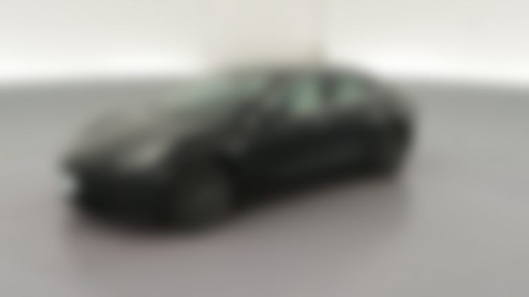 2020 Tesla Model 3 vehicle photo