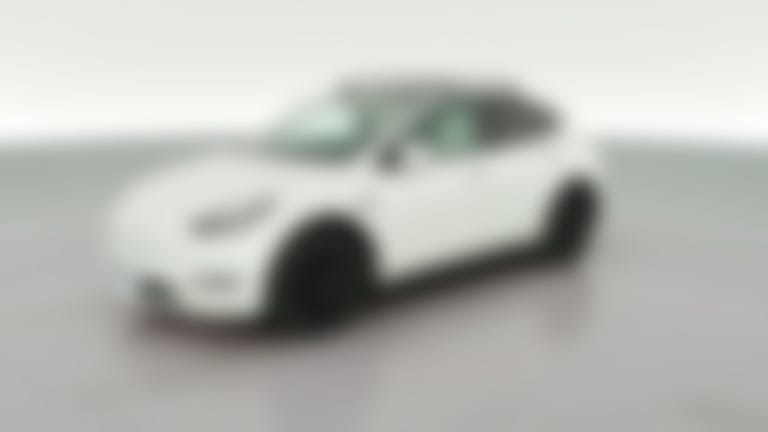 2021 Tesla Model Y vehicle photo