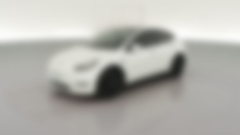 2021 Tesla Model Y vehicle photo
