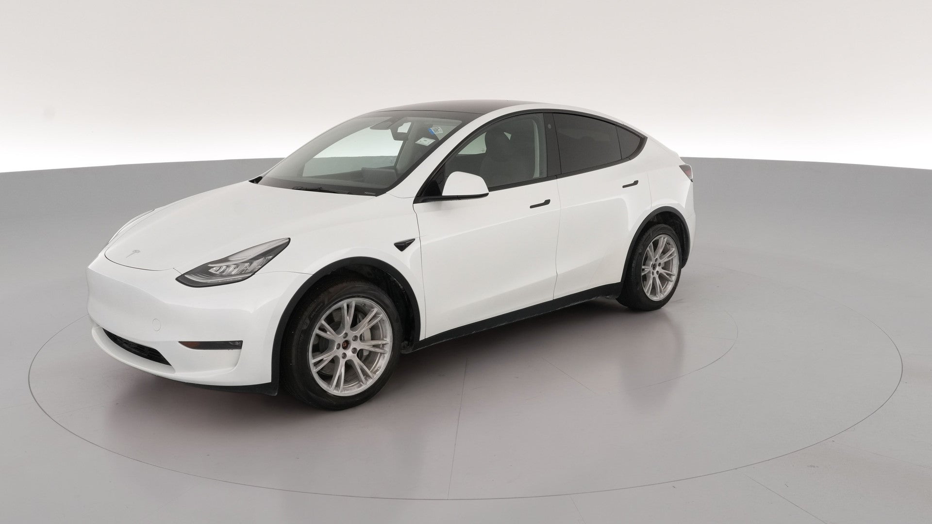 2023 Tesla Model Y vehicle photo