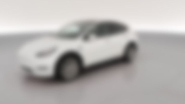 2023 Tesla Model Y vehicle photo