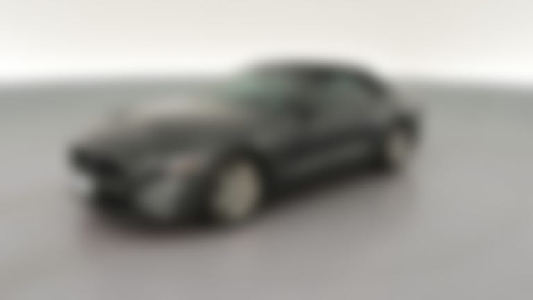 2019 Ford Mustang vehicle photo