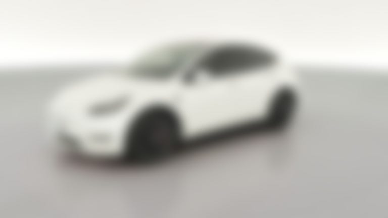 2021 Tesla Model Y vehicle photo