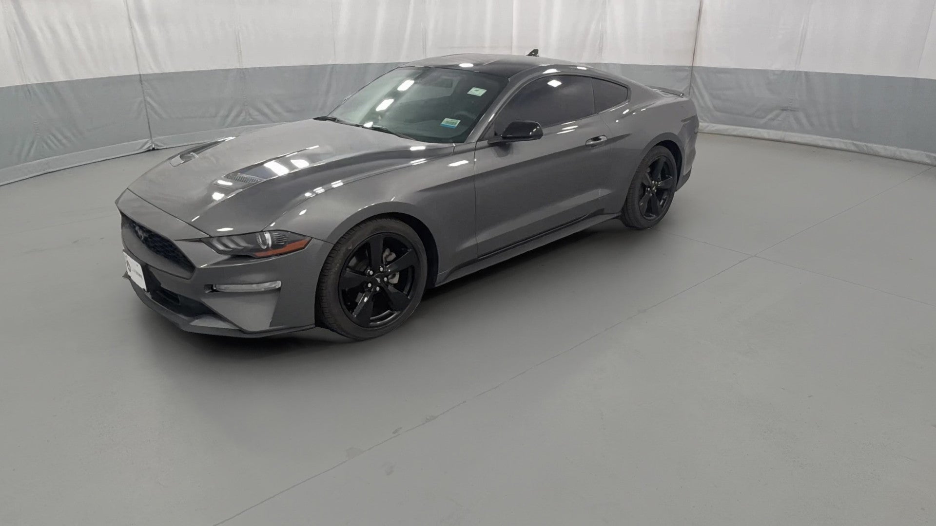2022 Ford Mustang vehicle photo
