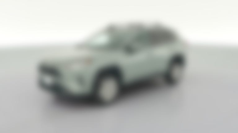 2019 Toyota RAV4 vehicle photo