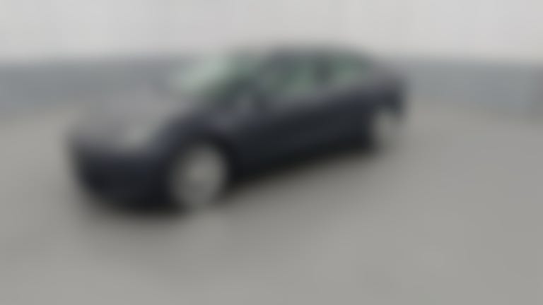 2019 Tesla Model 3 vehicle photo