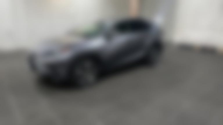 2020 Lexus NX vehicle photo