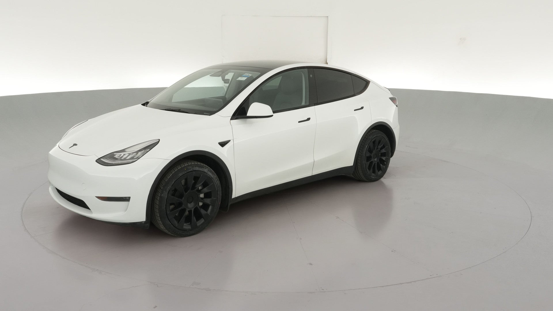 2023 Tesla Model Y vehicle photo